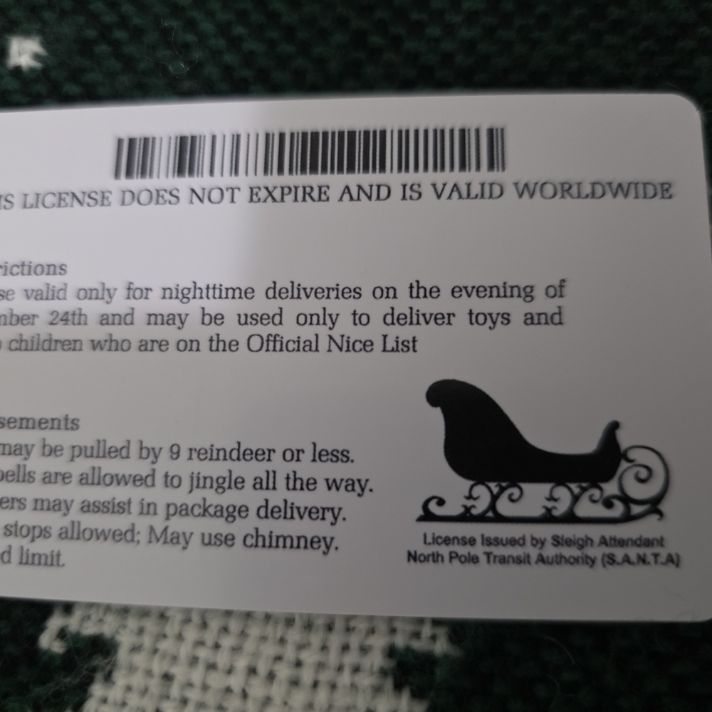 Elf on the Shelf Light Pink Girl + Santa's Driver's License - Picture 6 of 6